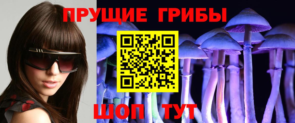 Галлюциногенные грибы прущие грибы Зима