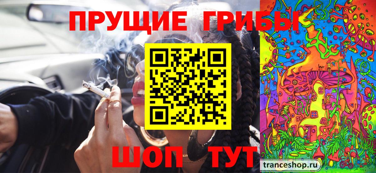 Псилоцибиновые грибы Cubensis  Вход с VPN  Галлюциногенные грибы Magic Shrooms  Зима 